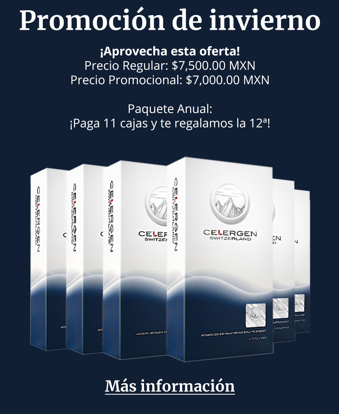 Banner Promocional Invierno